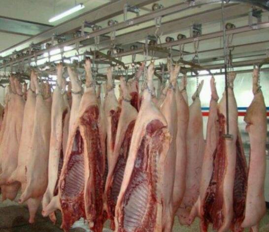 鲜肉排酸库案例
