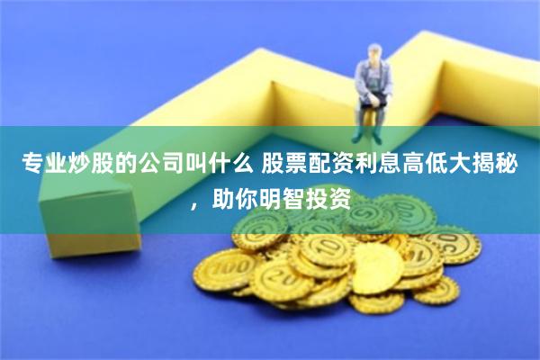 专业炒股的公司叫什么 股票配资利息高低大揭秘,助你明智投资