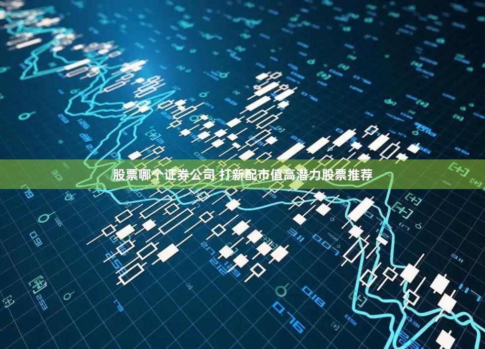 股票哪个证券公司 打新配市值高潜力股票推荐