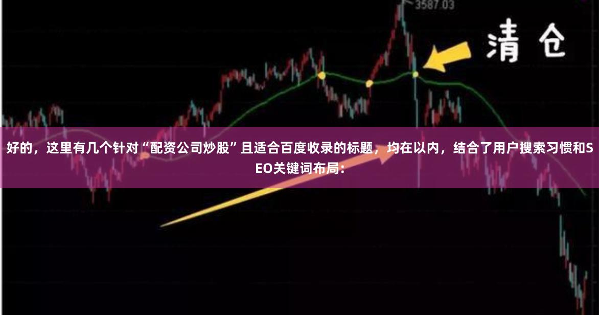 好的，这里有几个针对“配资公司炒股”且适合百度收录的标题，均在以内，结合了用户搜索习惯和SEO关键词布局：