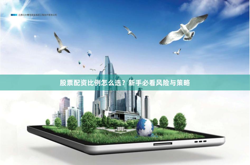 股票配资比例怎么选？新手必看风险与策略