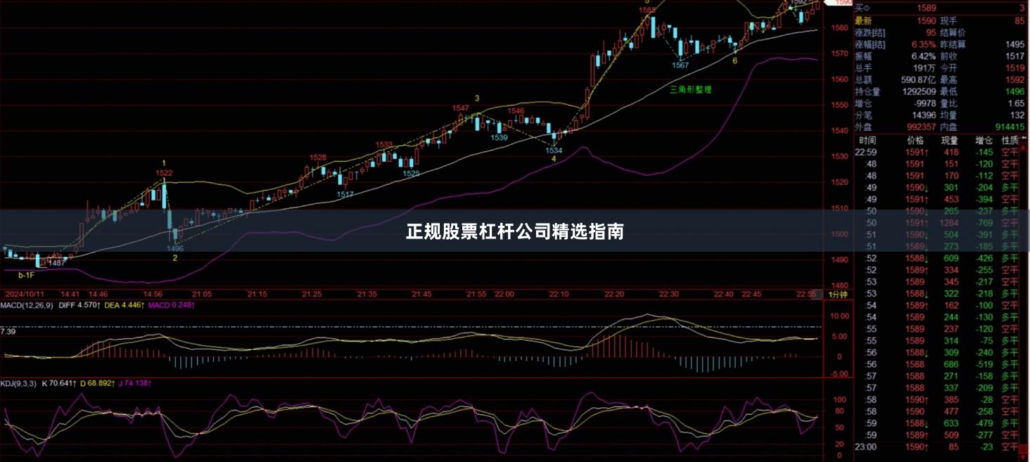 正规股票杠杆公司精选指南