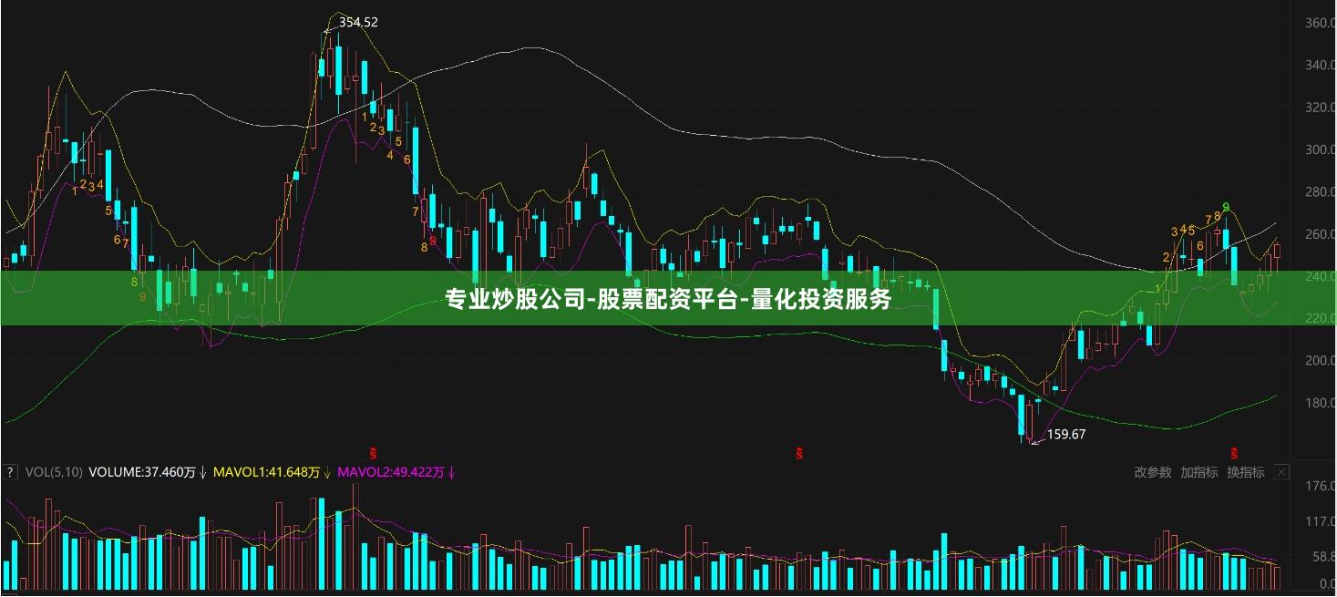 专业炒股公司-股票配资平台-量化投资服务